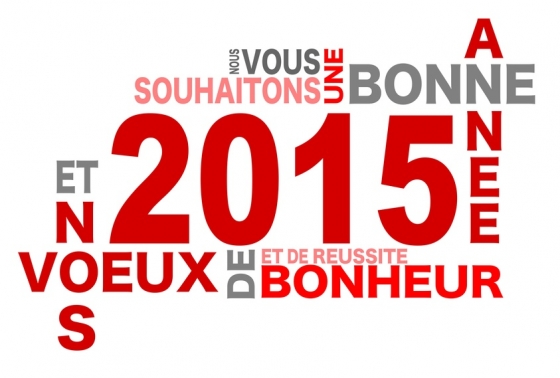 Bonne année 2015 à toutes et à tous